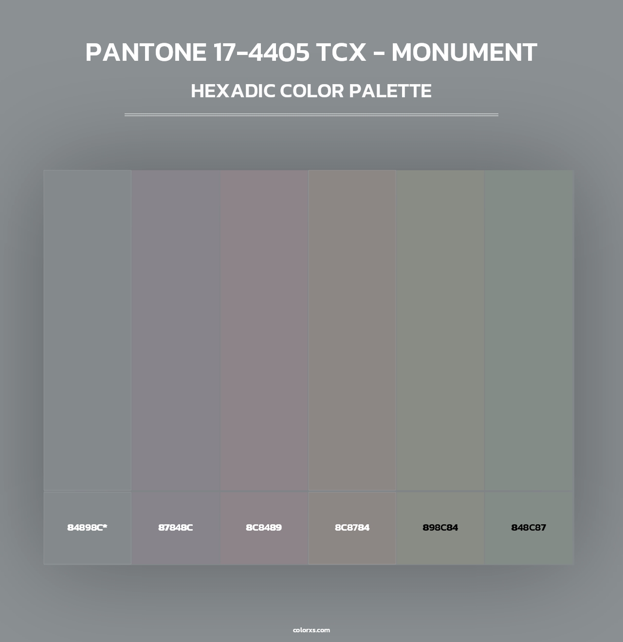 PANTONE 17-4405 TCX - Monument - Hexadic Color Palette