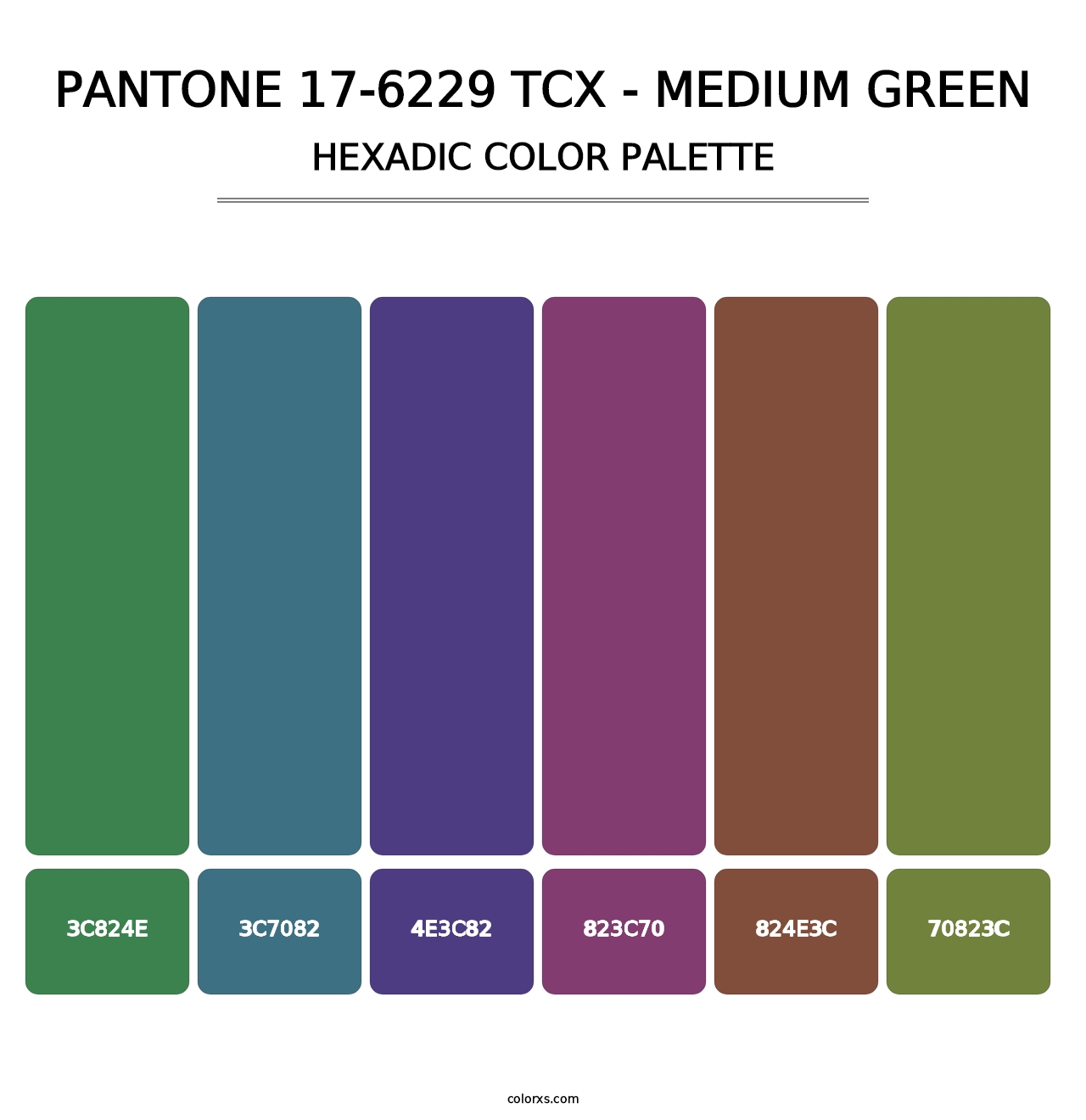 PANTONE 17-6229 TCX - Medium Green - Hexadic Color Palette