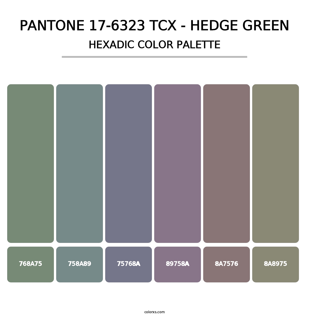 PANTONE 17-6323 TCX - Hedge Green - Hexadic Color Palette