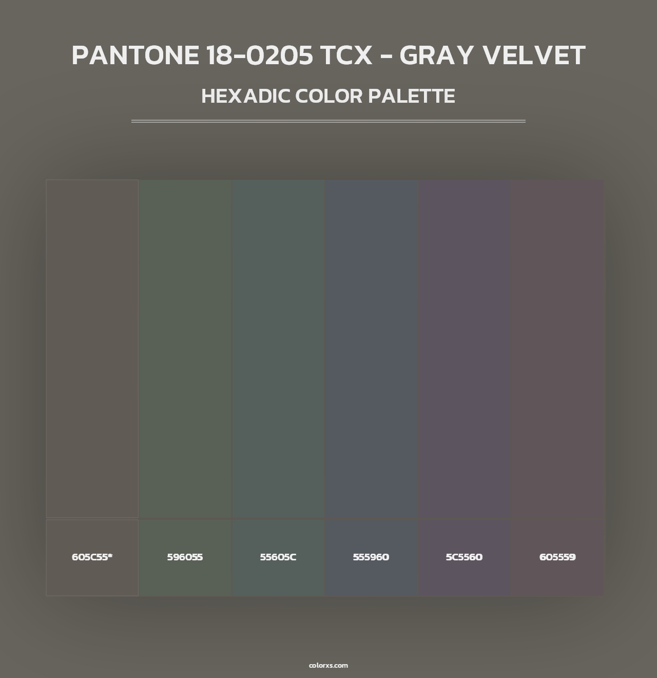 PANTONE 18-0205 TCX - Gray Velvet - Hexadic Color Palette
