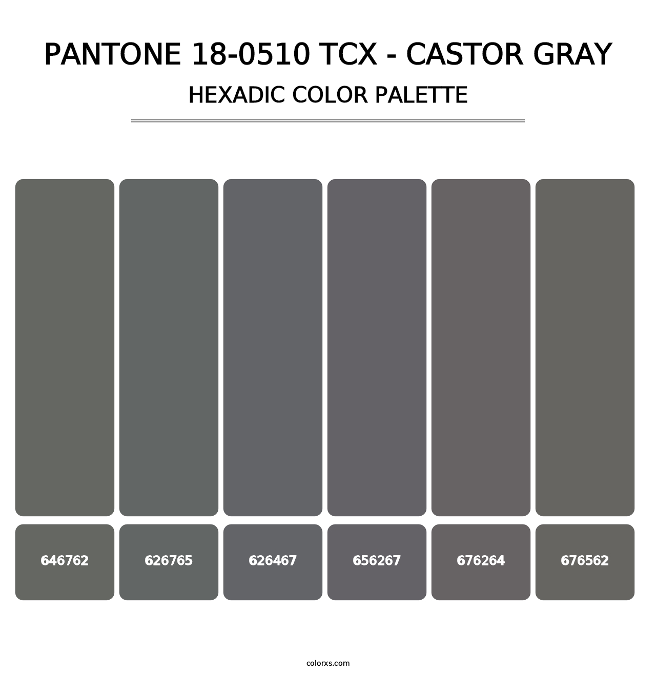 PANTONE 18-0510 TCX - Castor Gray - Hexadic Color Palette