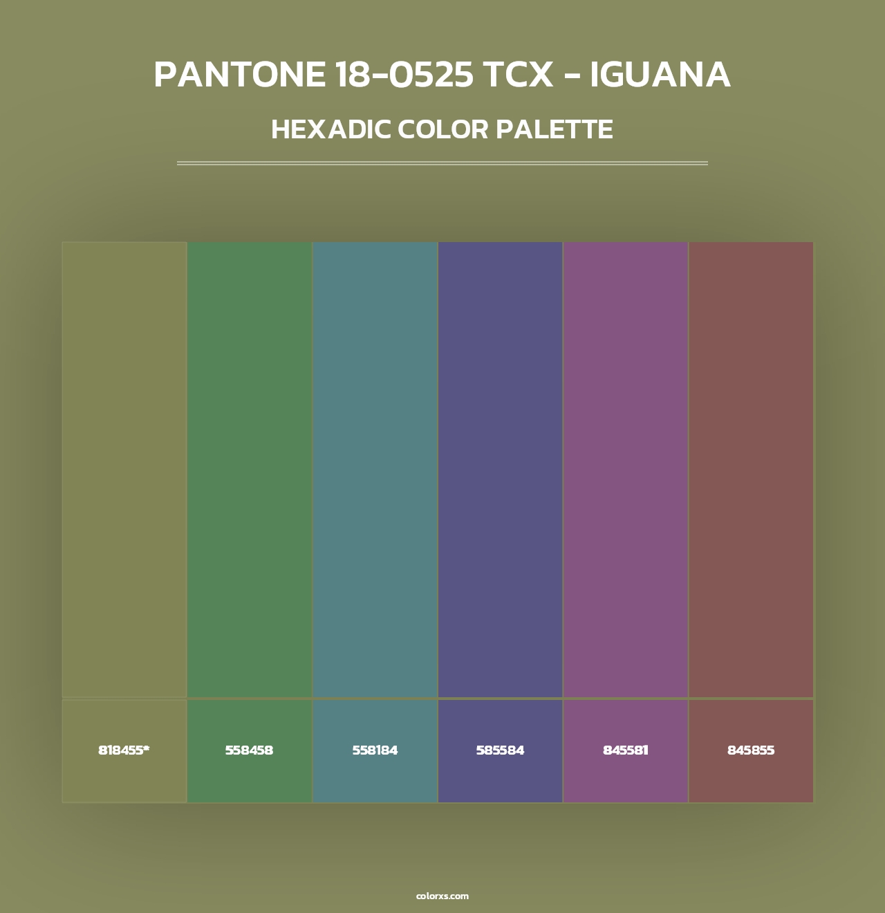 PANTONE 18-0525 TCX - Iguana - Hexadic Color Palette