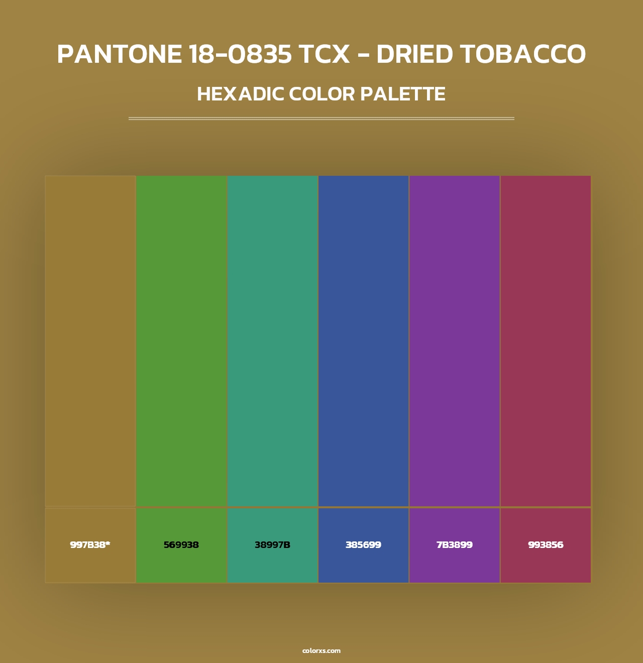 PANTONE 18-0835 TCX - Dried Tobacco - Hexadic Color Palette