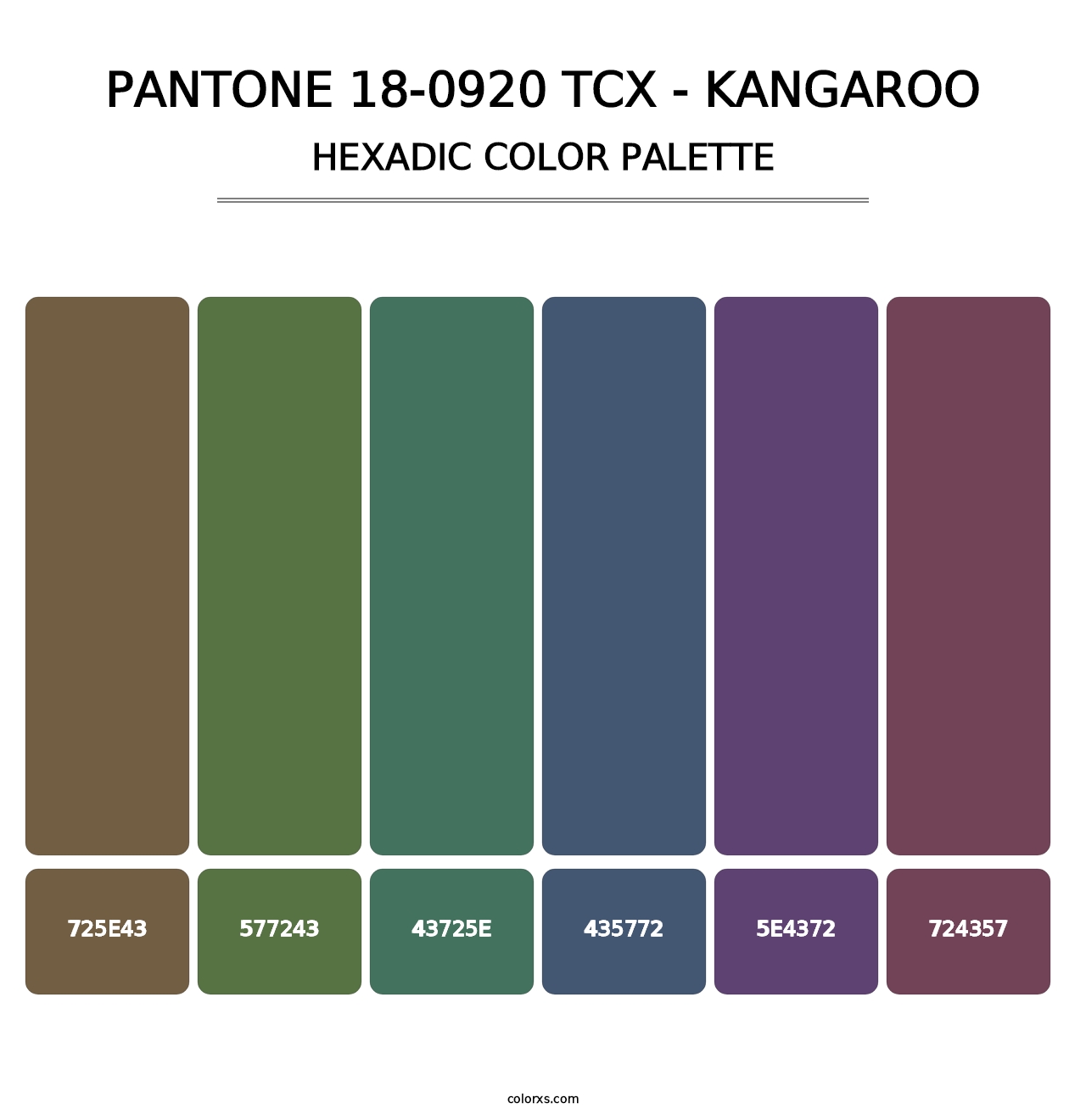 PANTONE 18-0920 TCX - Kangaroo - Hexadic Color Palette