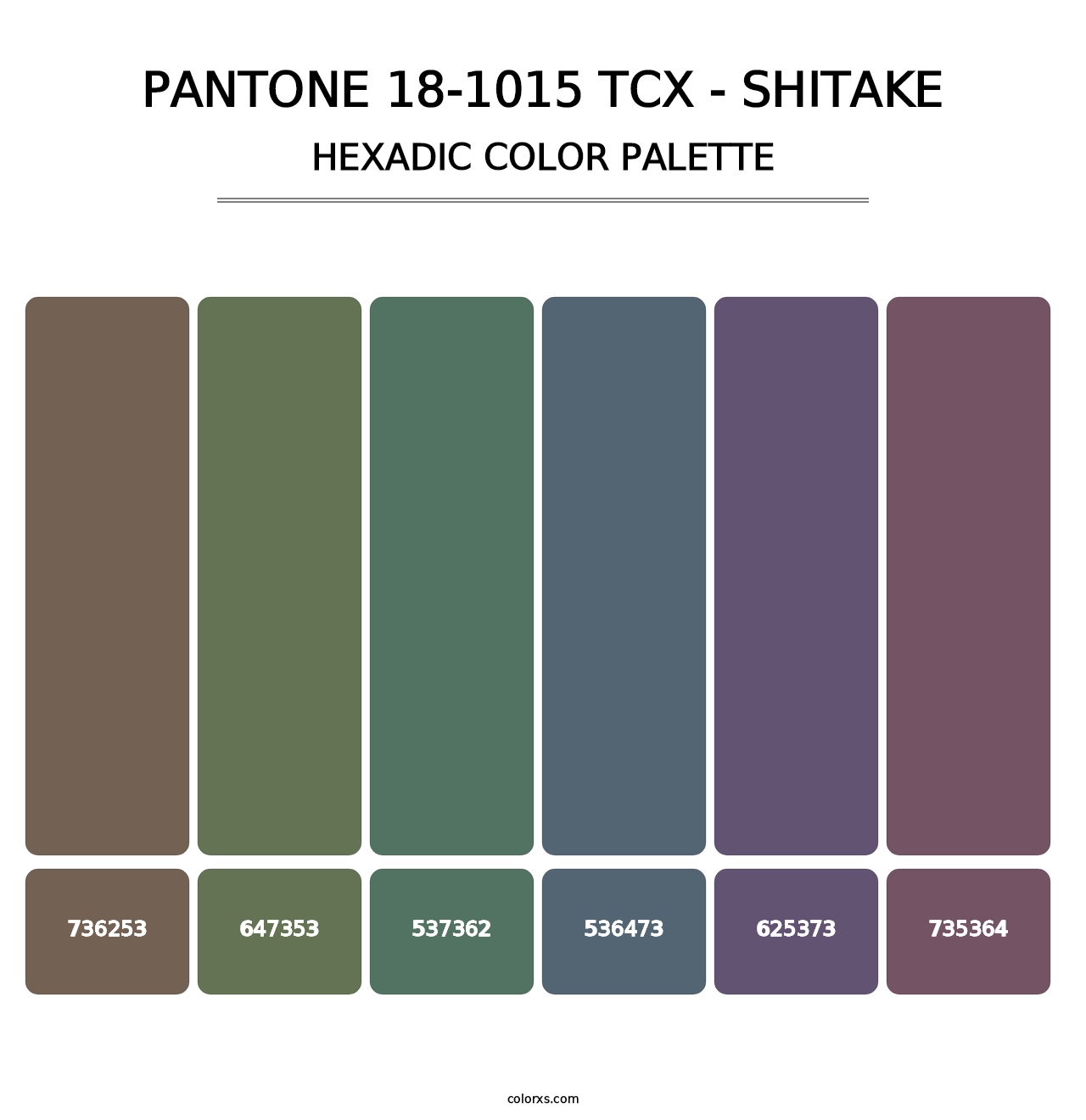 PANTONE 18-1015 TCX - Shitake - Hexadic Color Palette