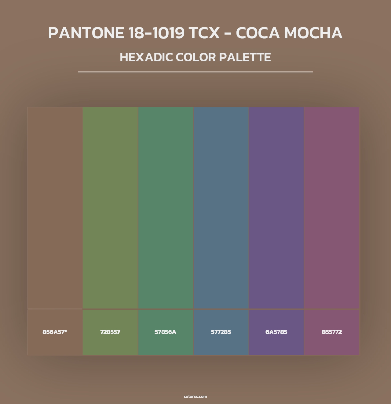 PANTONE 18-1019 TCX - Coca Mocha - Hexadic Color Palette