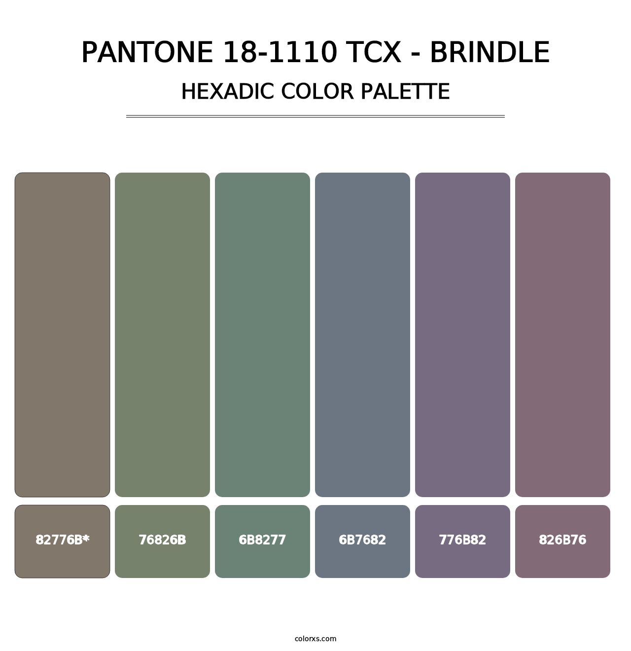 PANTONE 18-1110 TCX - Brindle - Hexadic Color Palette