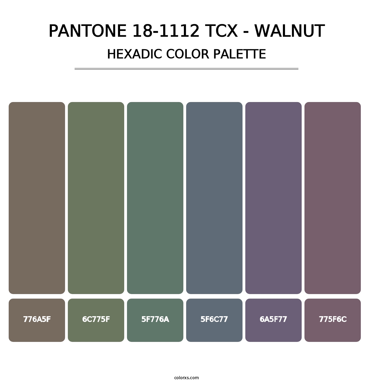 PANTONE 18-1112 TCX - Walnut - Hexadic Color Palette