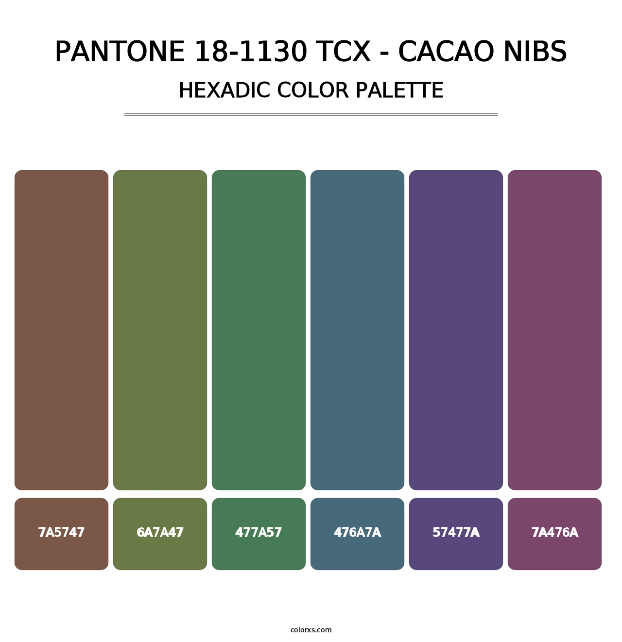 PANTONE 18-1130 TCX - Cacao Nibs - Hexadic Color Palette
