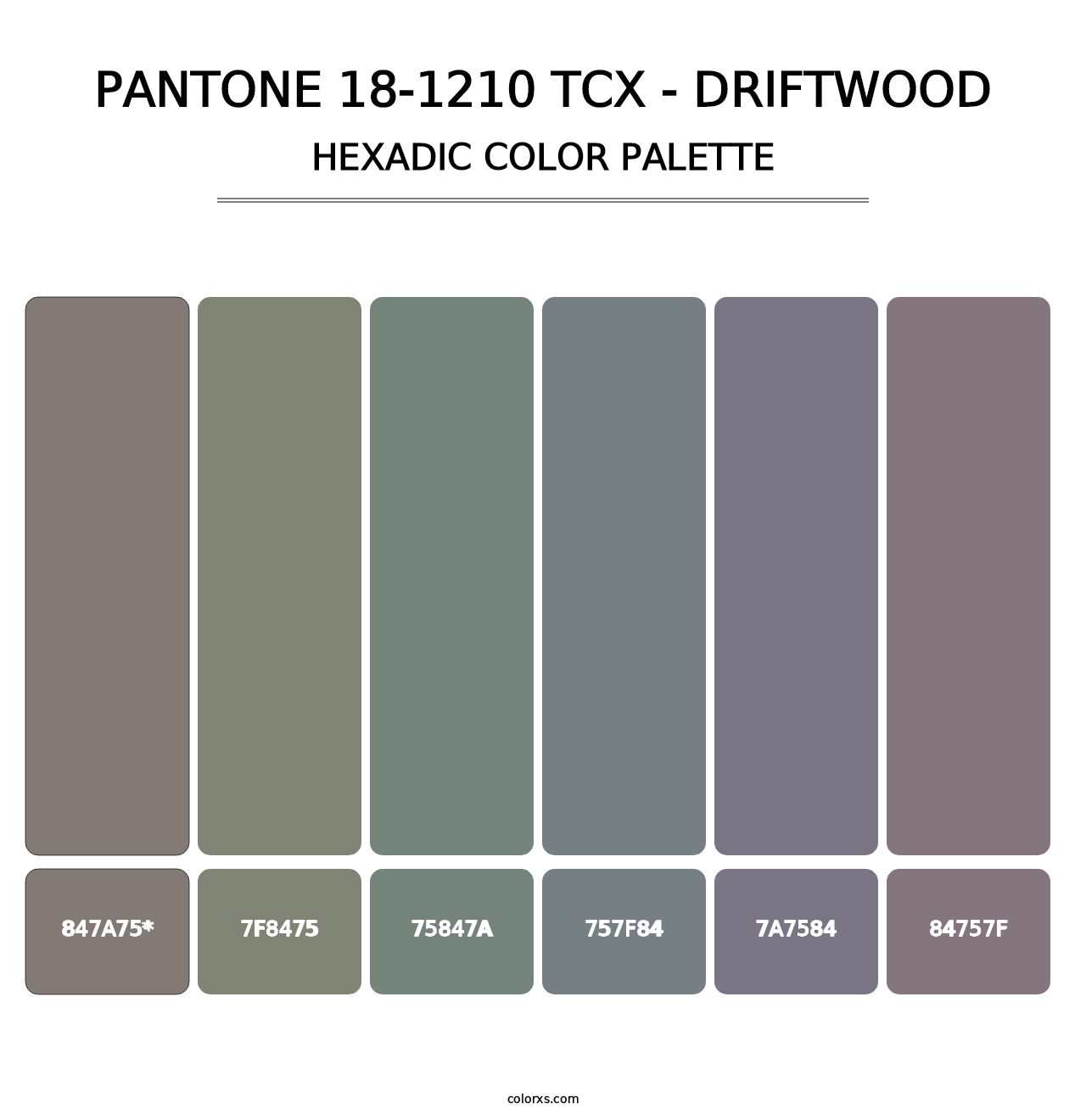 PANTONE 18-1210 TCX - Driftwood - Hexadic Color Palette