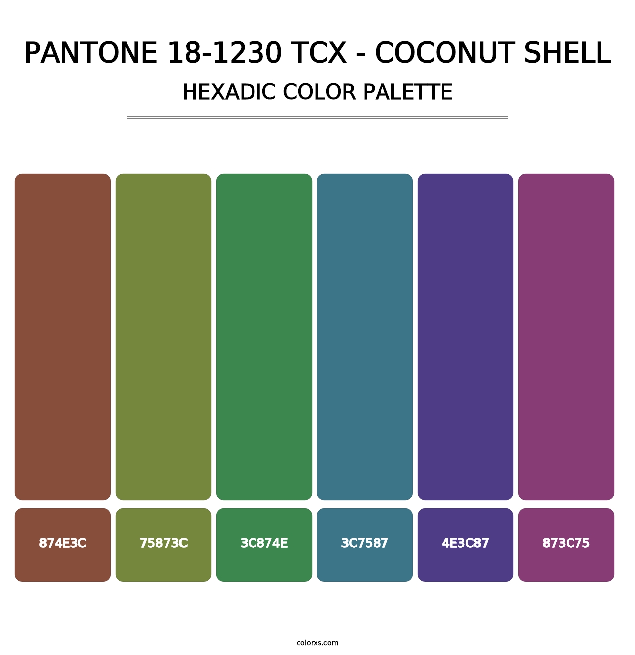 PANTONE 18-1230 TCX - Coconut Shell - Hexadic Color Palette