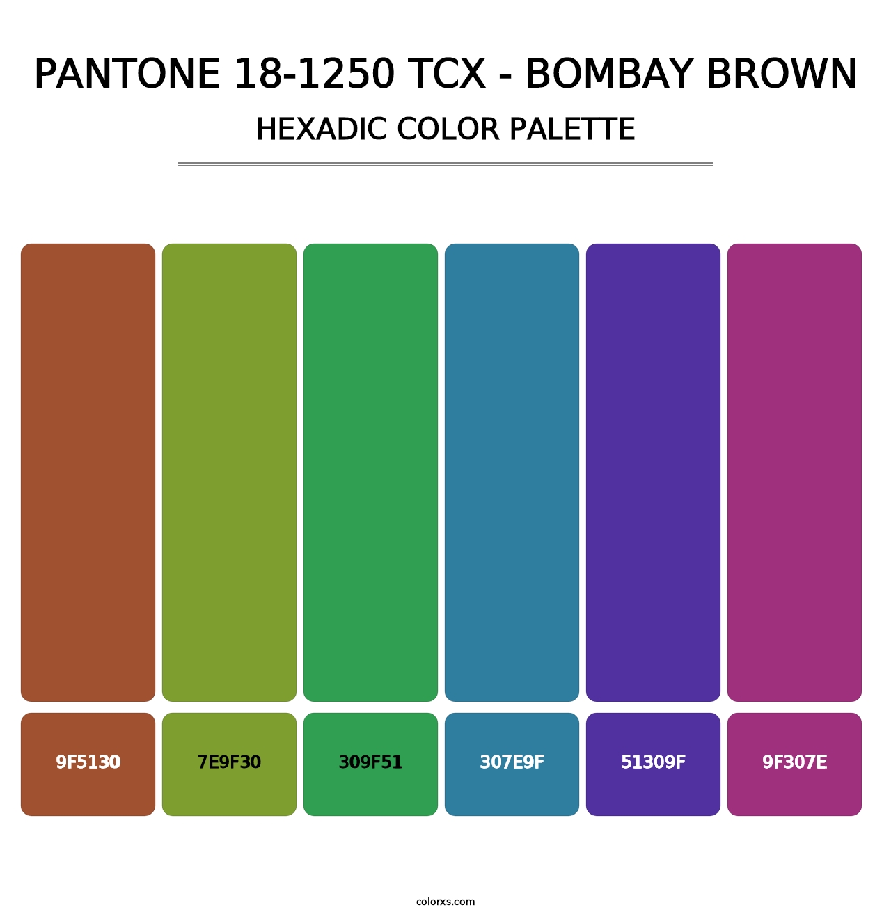 PANTONE 18-1250 TCX - Bombay Brown - Hexadic Color Palette