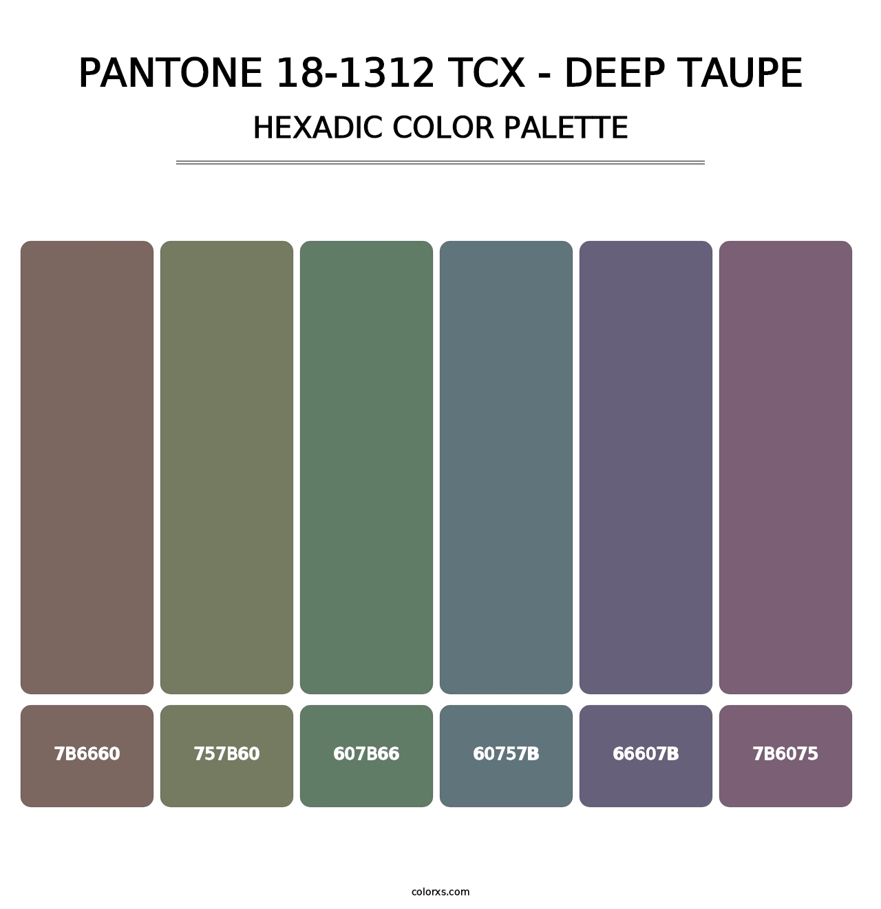 PANTONE 18-1312 TCX - Deep Taupe - Hexadic Color Palette