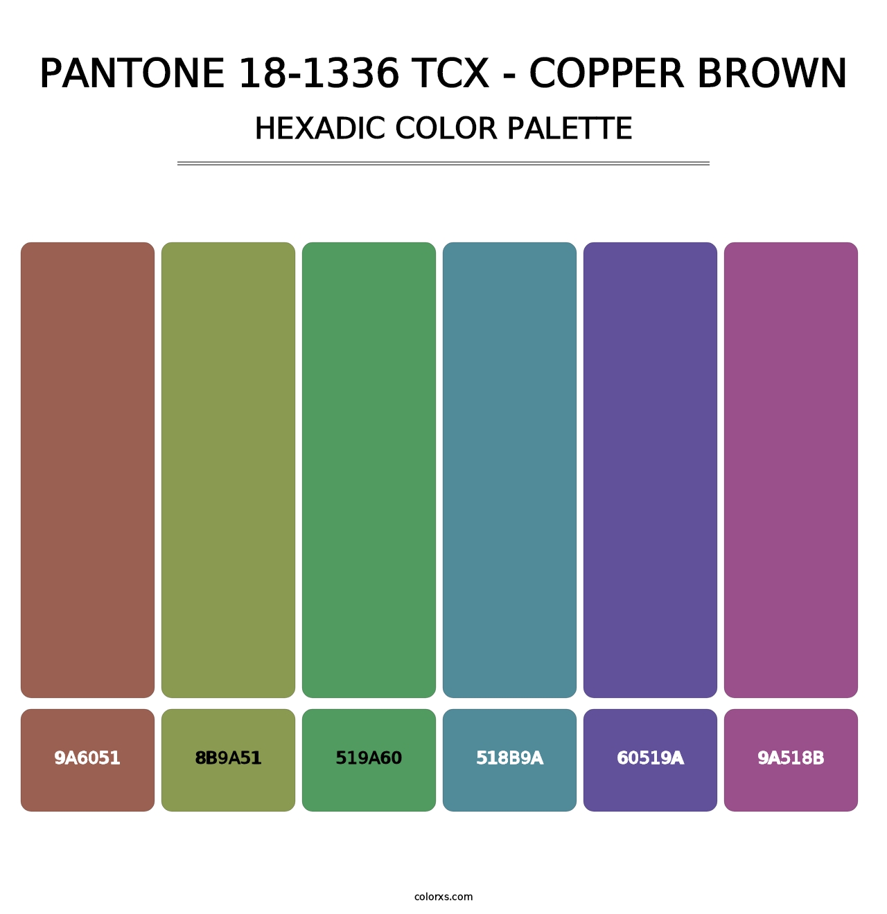 PANTONE 18-1336 TCX - Copper Brown - Hexadic Color Palette