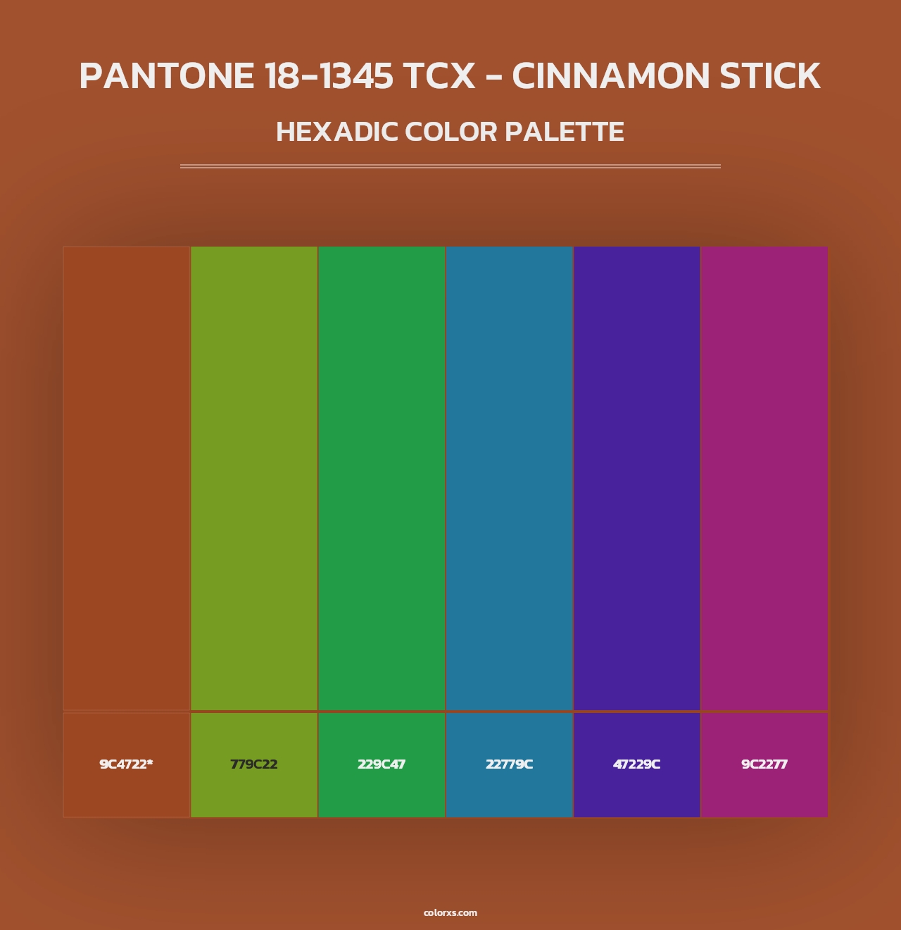 PANTONE 18-1345 TCX - Cinnamon Stick - Hexadic Color Palette