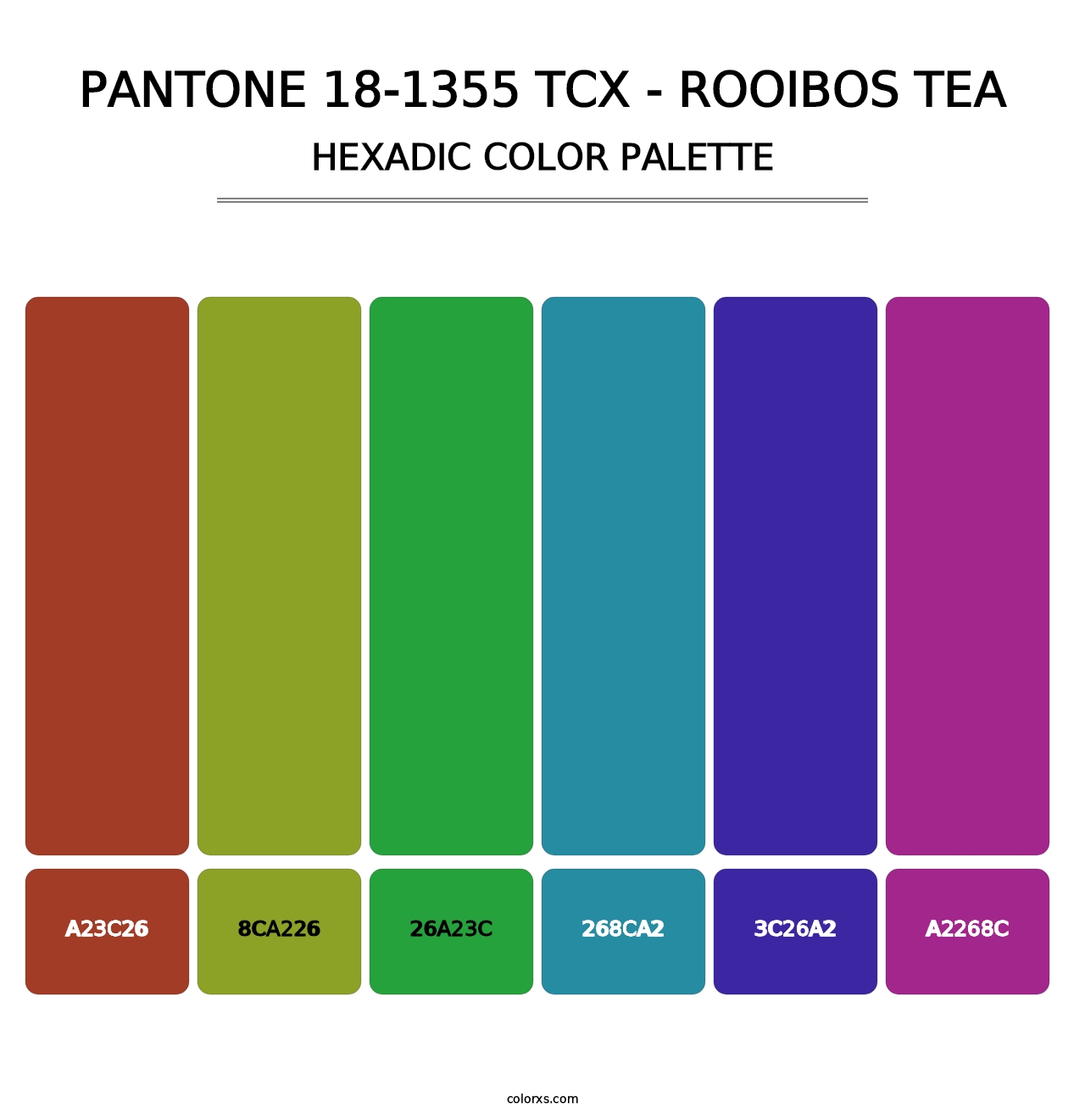 PANTONE 18-1355 TCX - Rooibos Tea - Hexadic Color Palette