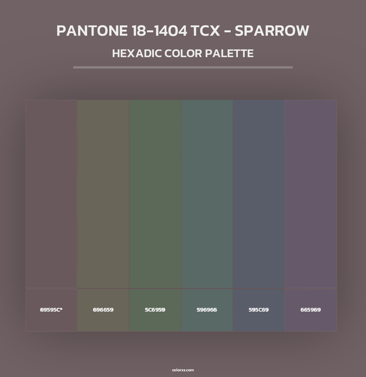 PANTONE 18-1404 TCX - Sparrow - Hexadic Color Palette