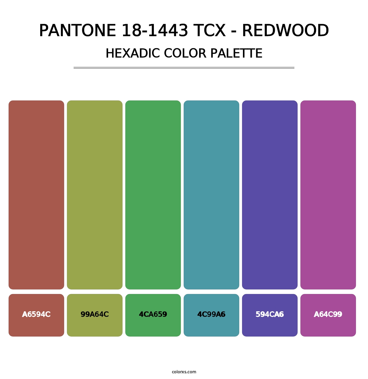 PANTONE 18-1443 TCX - Redwood - Hexadic Color Palette