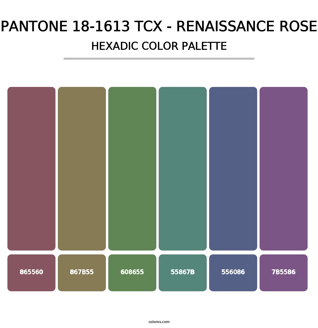 PANTONE 18-1613 TCX - Renaissance Rose - Hexadic Color Palette
