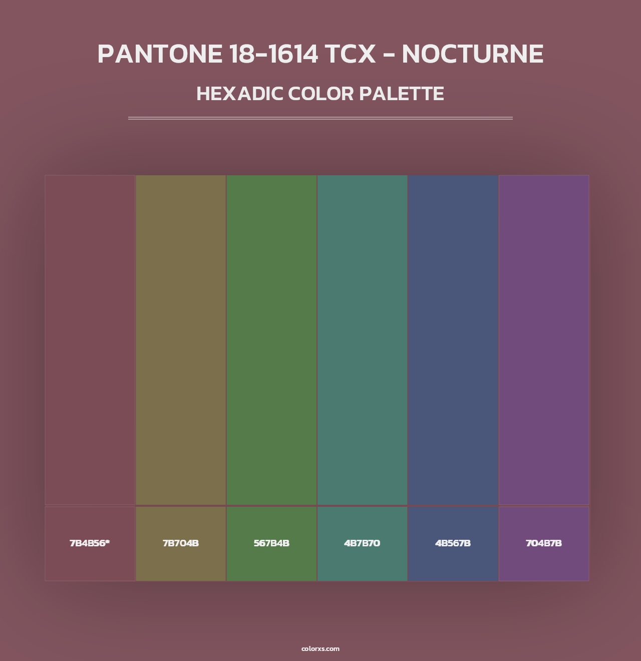 PANTONE 18-1614 TCX - Nocturne - Hexadic Color Palette