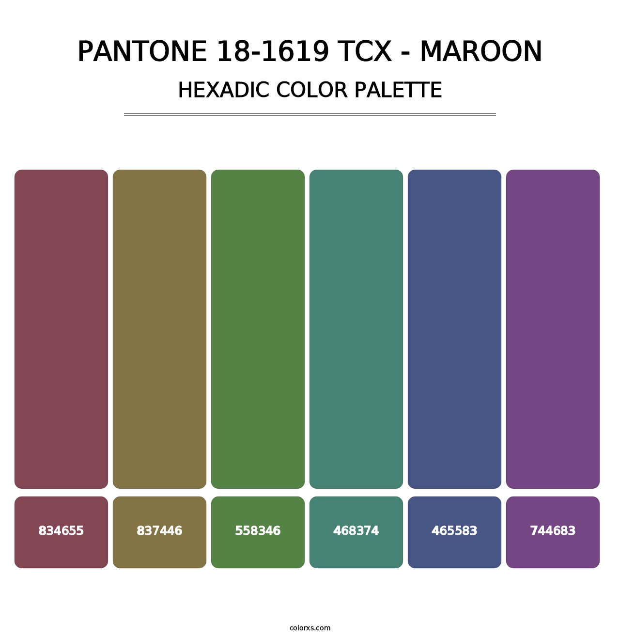 PANTONE 18-1619 TCX - Maroon - Hexadic Color Palette