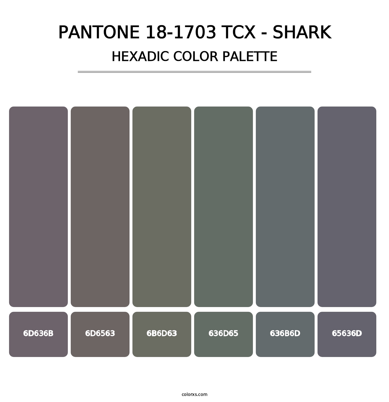 PANTONE 18-1703 TCX - Shark - Hexadic Color Palette