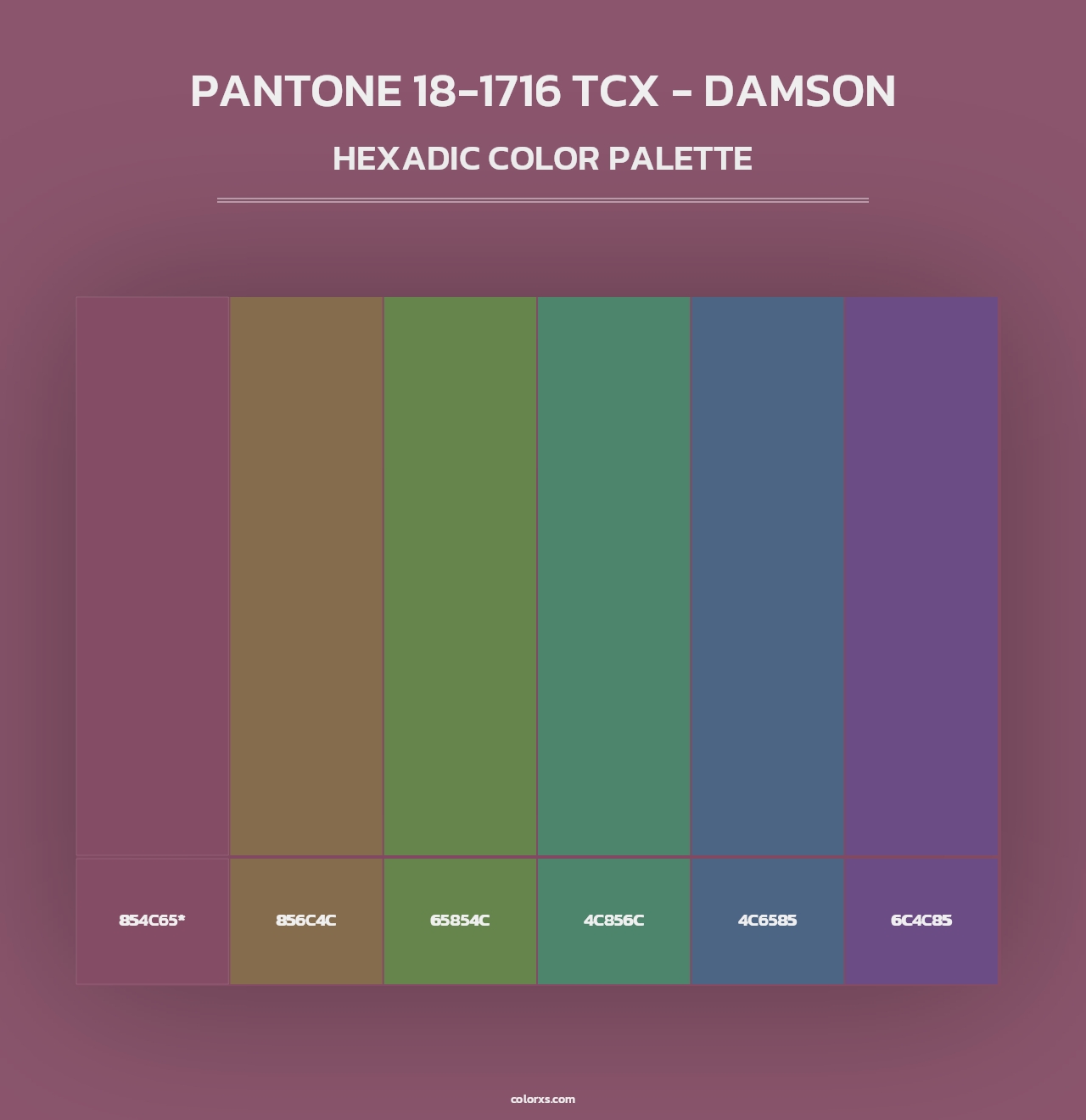 PANTONE 18-1716 TCX - Damson - Hexadic Color Palette