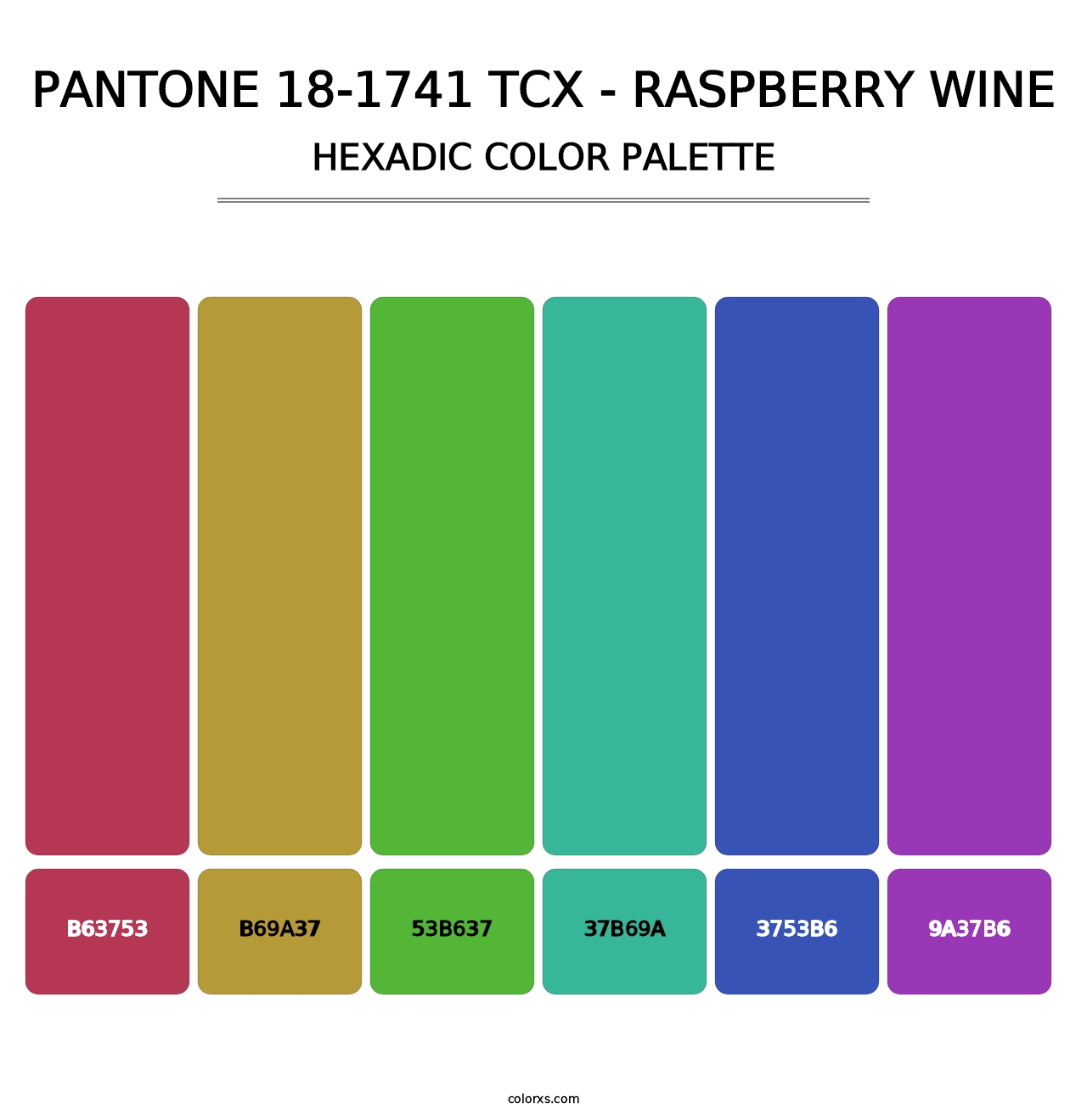 PANTONE 18-1741 TCX - Raspberry Wine - Hexadic Color Palette