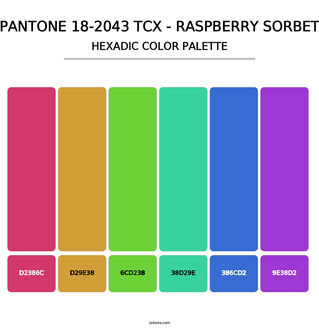 PANTONE 18-2043 TCX - Raspberry Sorbet - Hexadic Color Palette