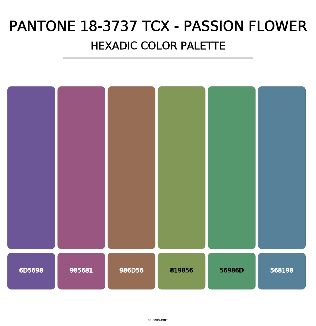 PANTONE 18-3737 TCX - Passion Flower - Hexadic Color Palette
