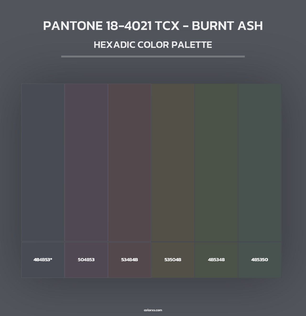 PANTONE 18-4021 TCX - Burnt Ash - Hexadic Color Palette