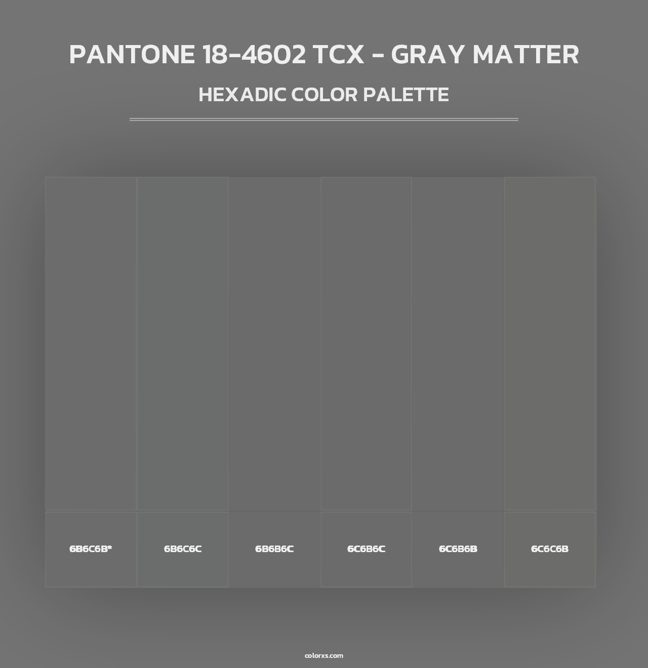 PANTONE 18-4602 TCX - Gray Matter - Hexadic Color Palette