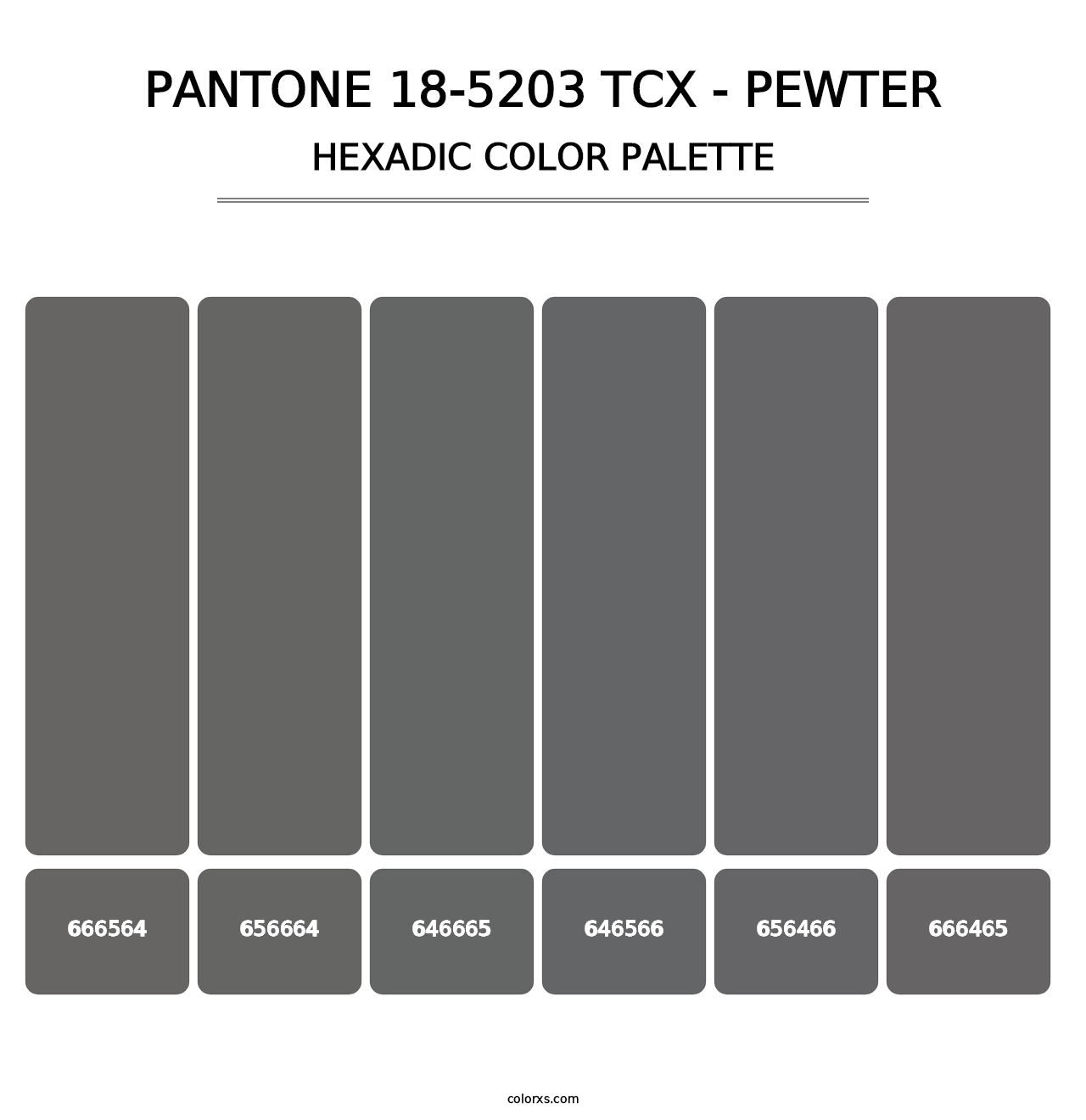 PANTONE 18-5203 TCX - Pewter - Hexadic Color Palette