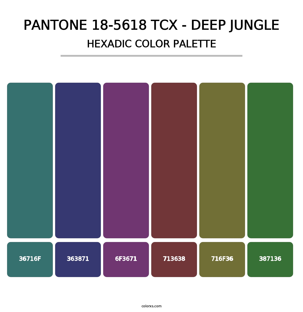 PANTONE 18-5618 TCX - Deep Jungle - Hexadic Color Palette