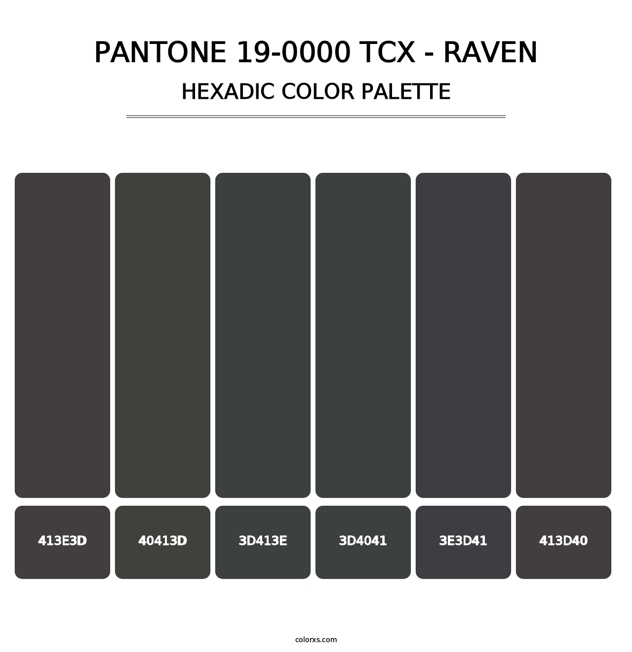 PANTONE 19-0000 TCX - Raven - Hexadic Color Palette