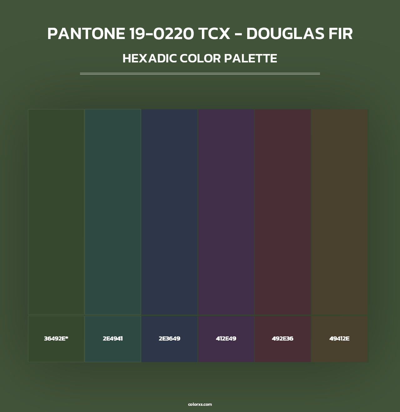 PANTONE 19-0220 TCX - Douglas Fir - Hexadic Color Palette