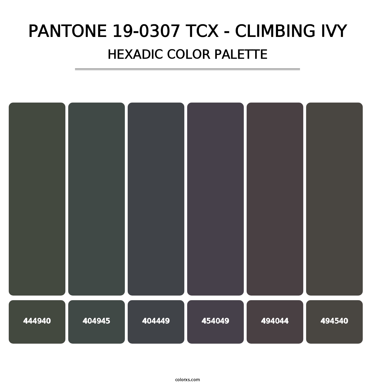 PANTONE 19-0307 TCX - Climbing Ivy - Hexadic Color Palette