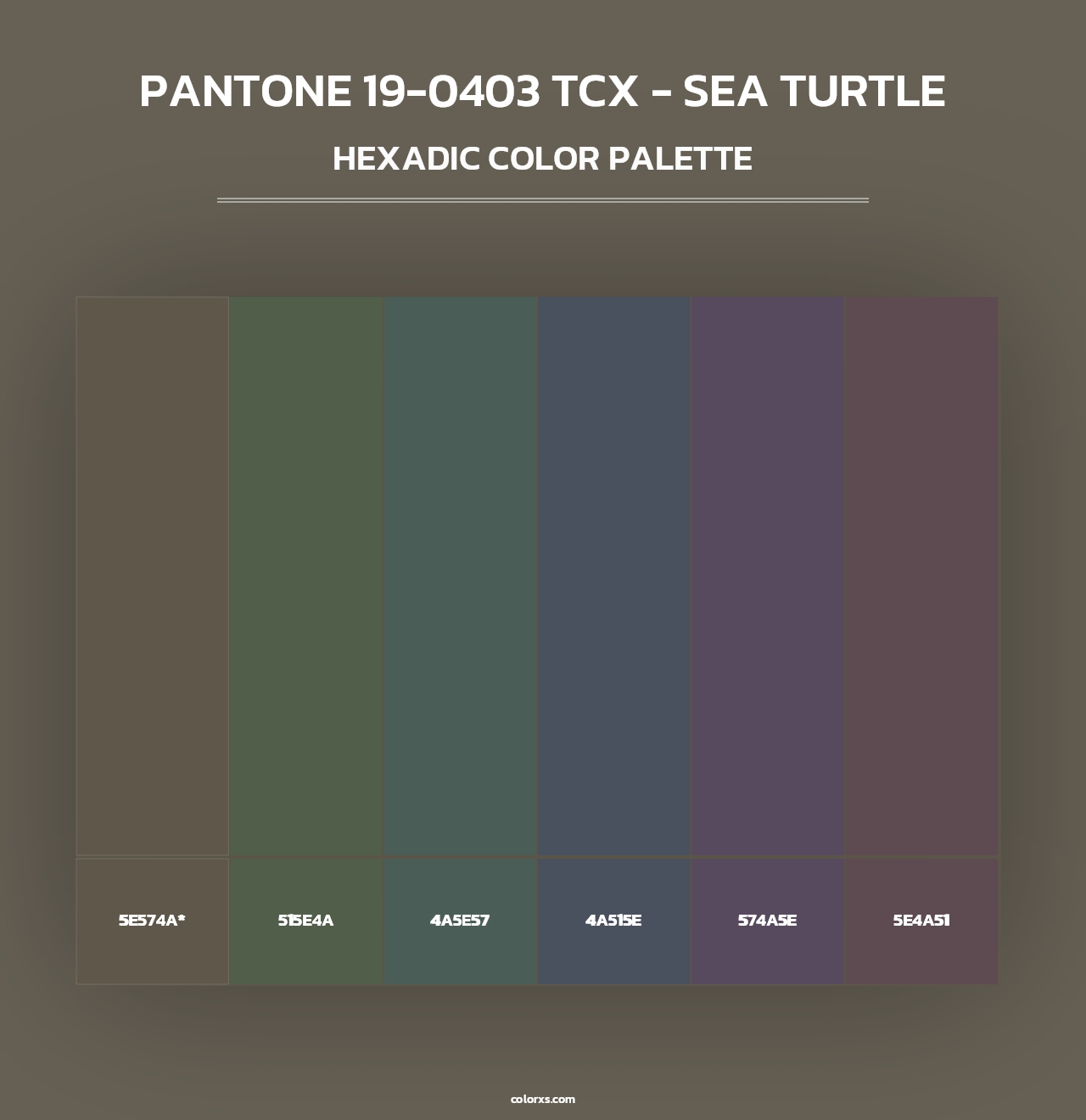 PANTONE 19-0403 TCX - Sea Turtle - Hexadic Color Palette