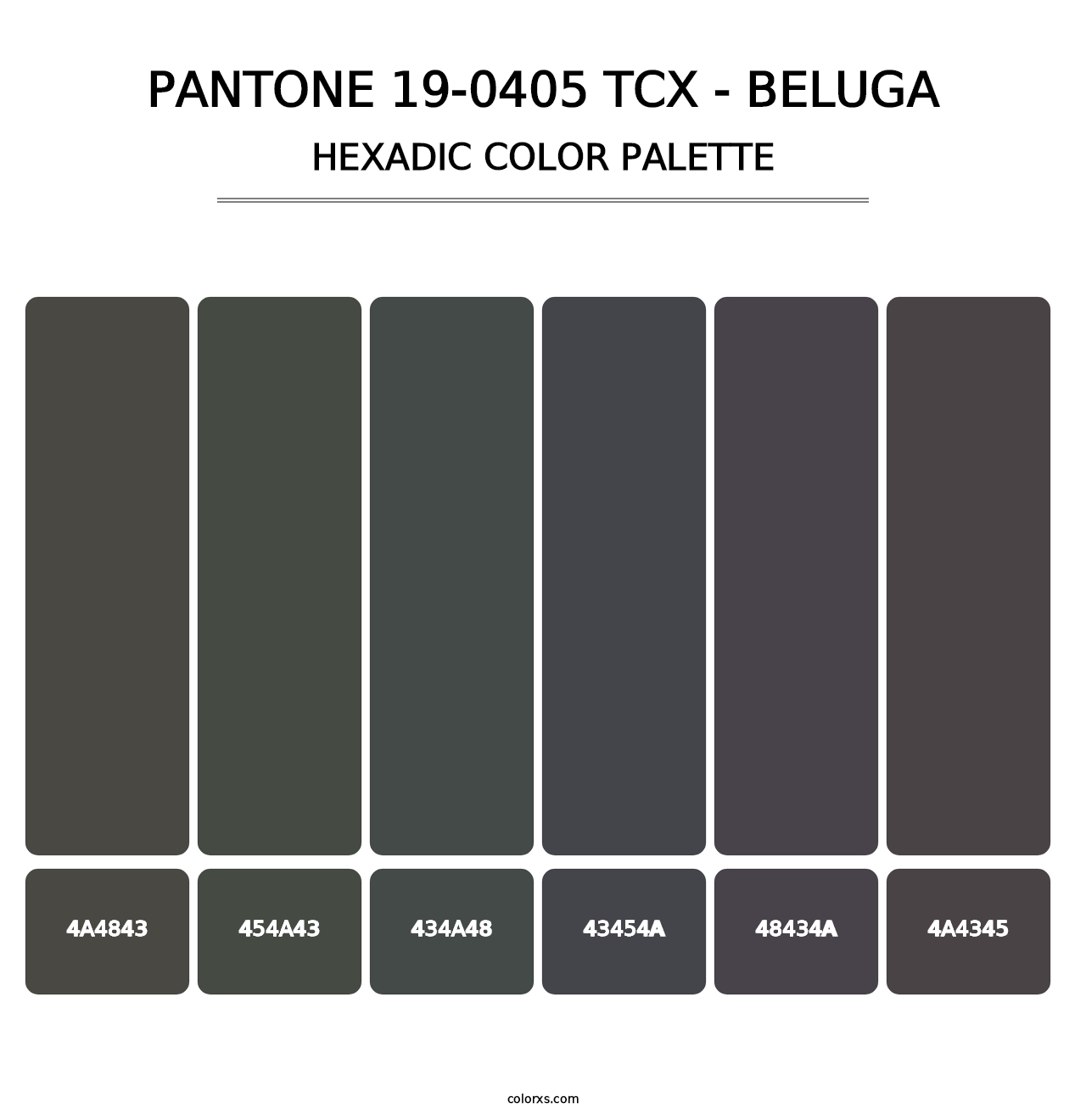 PANTONE 19-0405 TCX - Beluga - Hexadic Color Palette