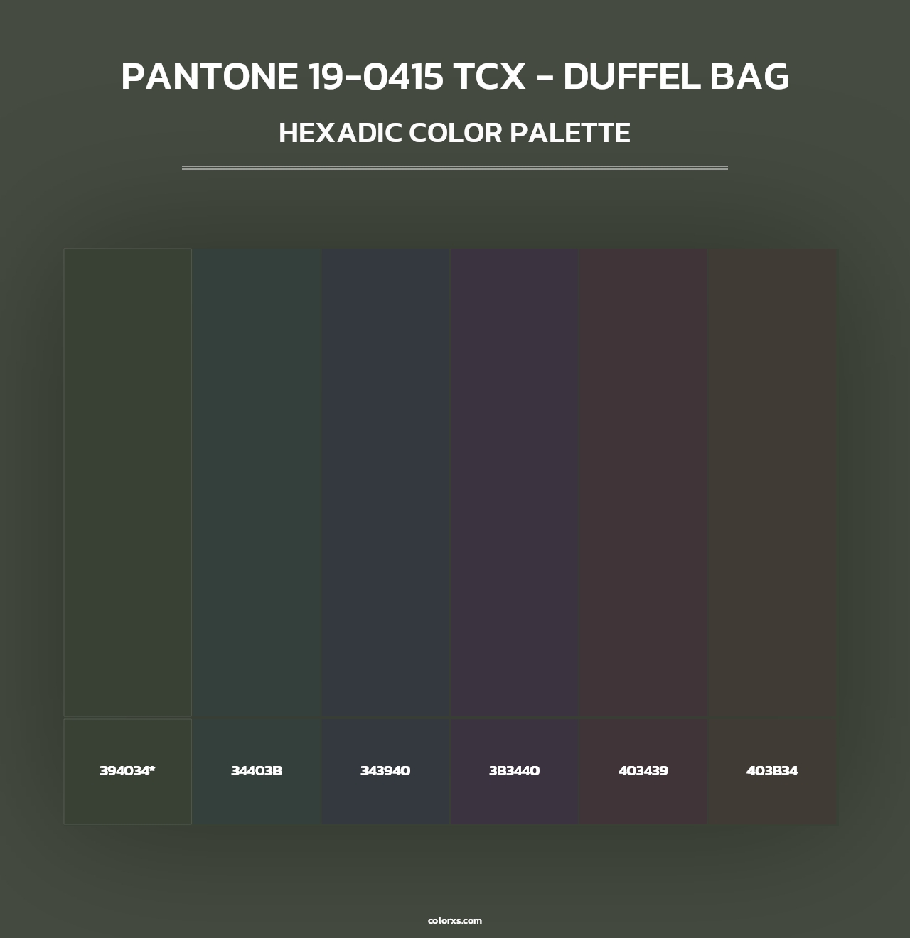 PANTONE 19-0415 TCX - Duffel Bag - Hexadic Color Palette