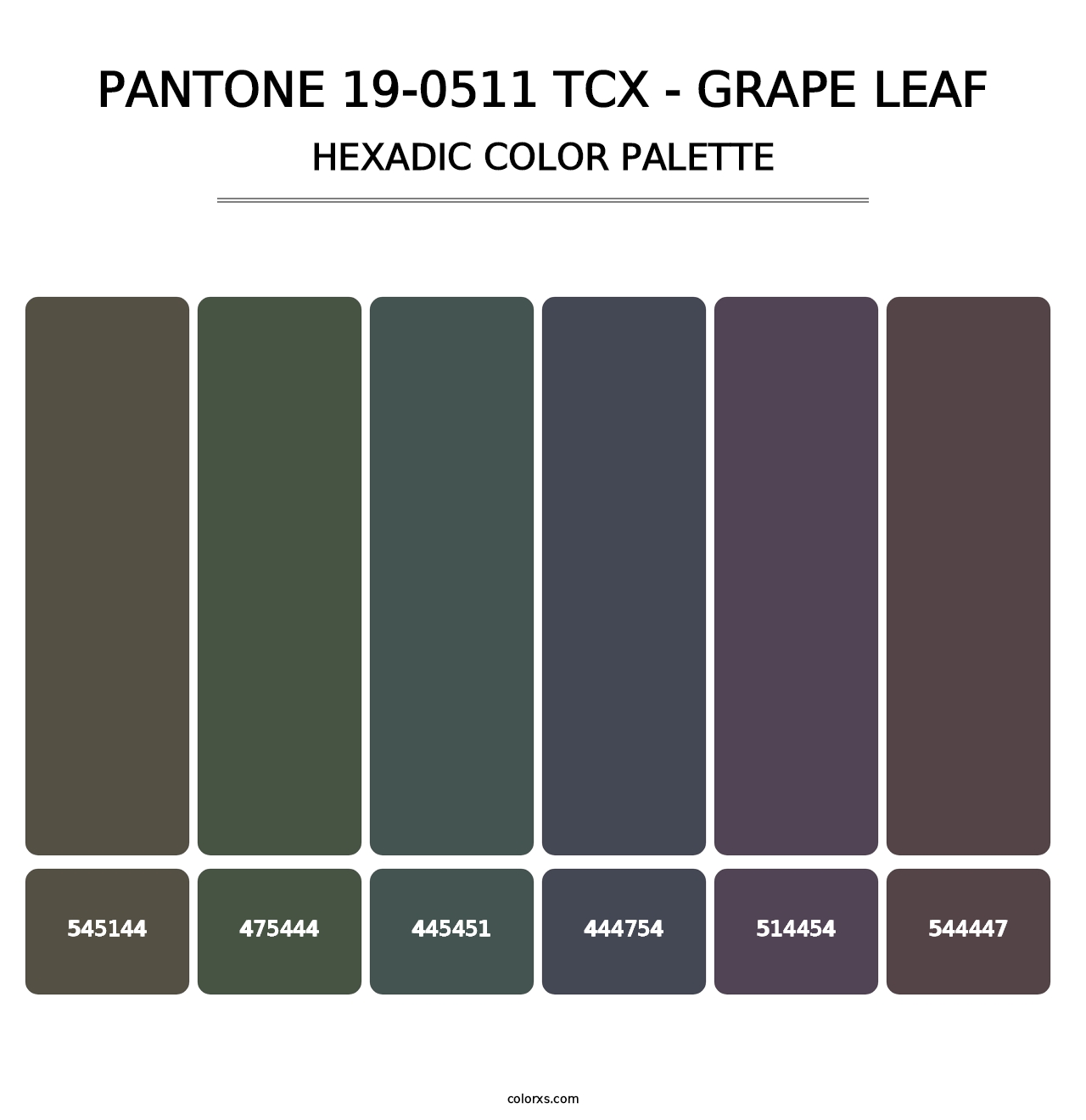 PANTONE 19-0511 TCX - Grape Leaf - Hexadic Color Palette