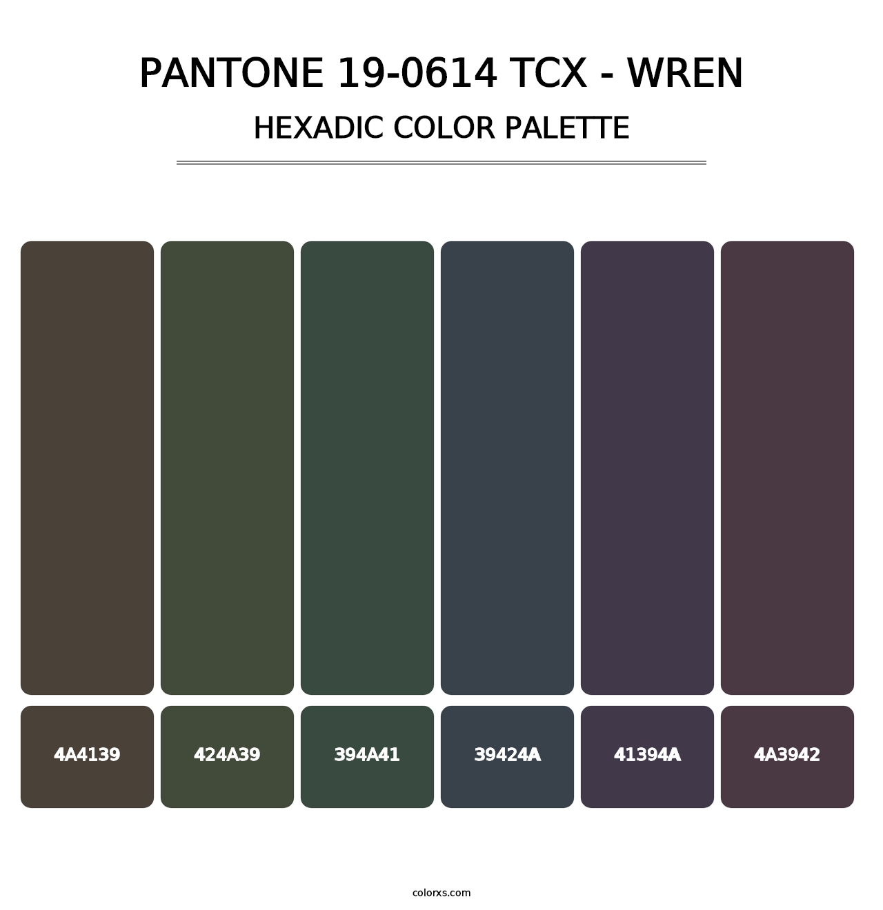 PANTONE 19-0614 TCX - Wren - Hexadic Color Palette