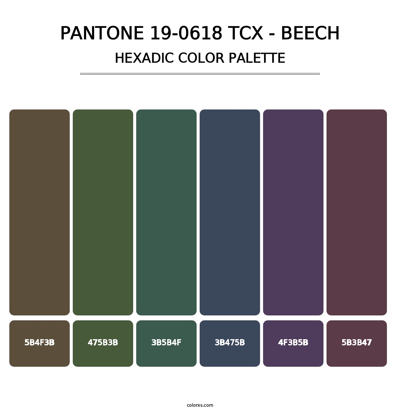 PANTONE 19-0618 TCX - Beech - Hexadic Color Palette