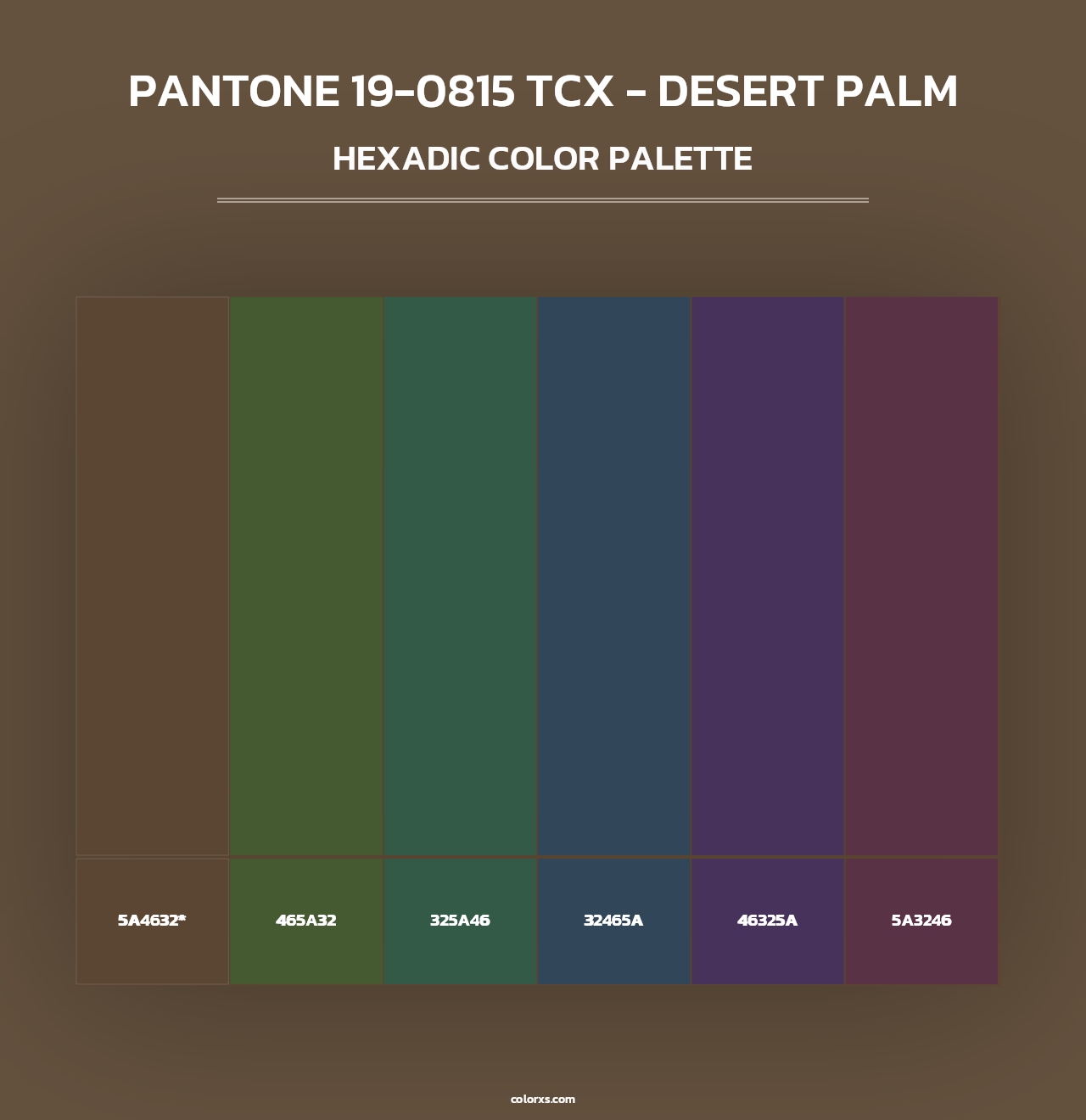 PANTONE 19-0815 TCX - Desert Palm - Hexadic Color Palette