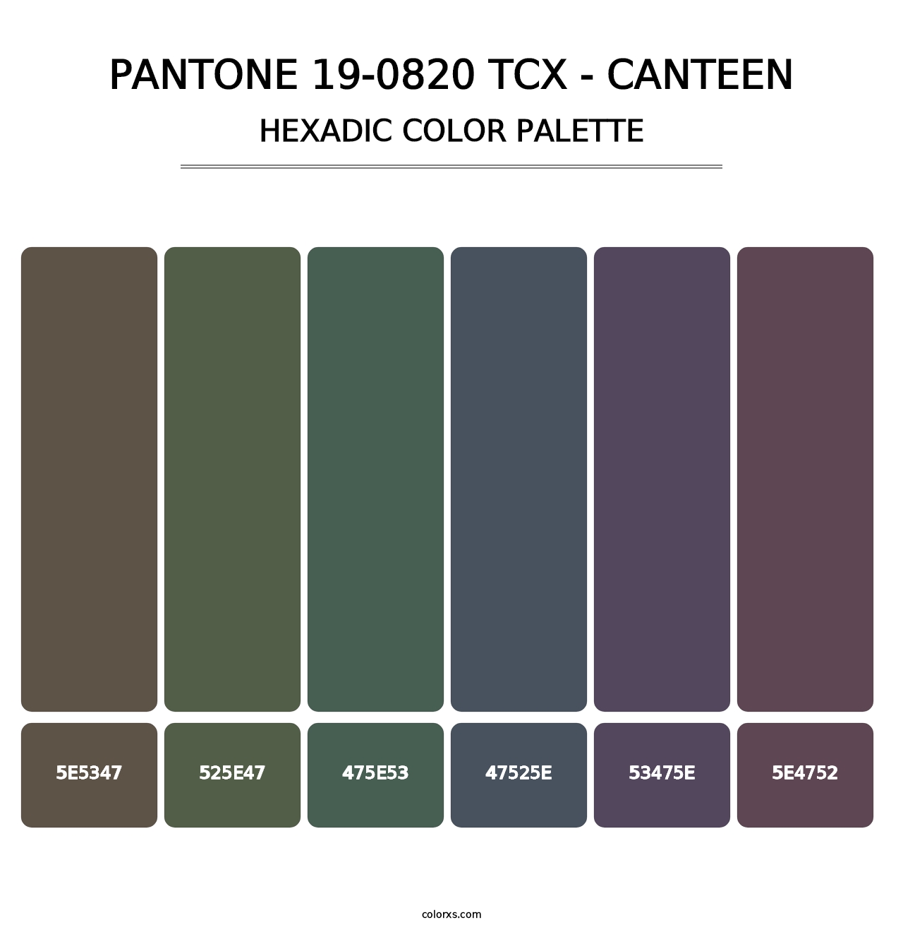 PANTONE 19-0820 TCX - Canteen - Hexadic Color Palette