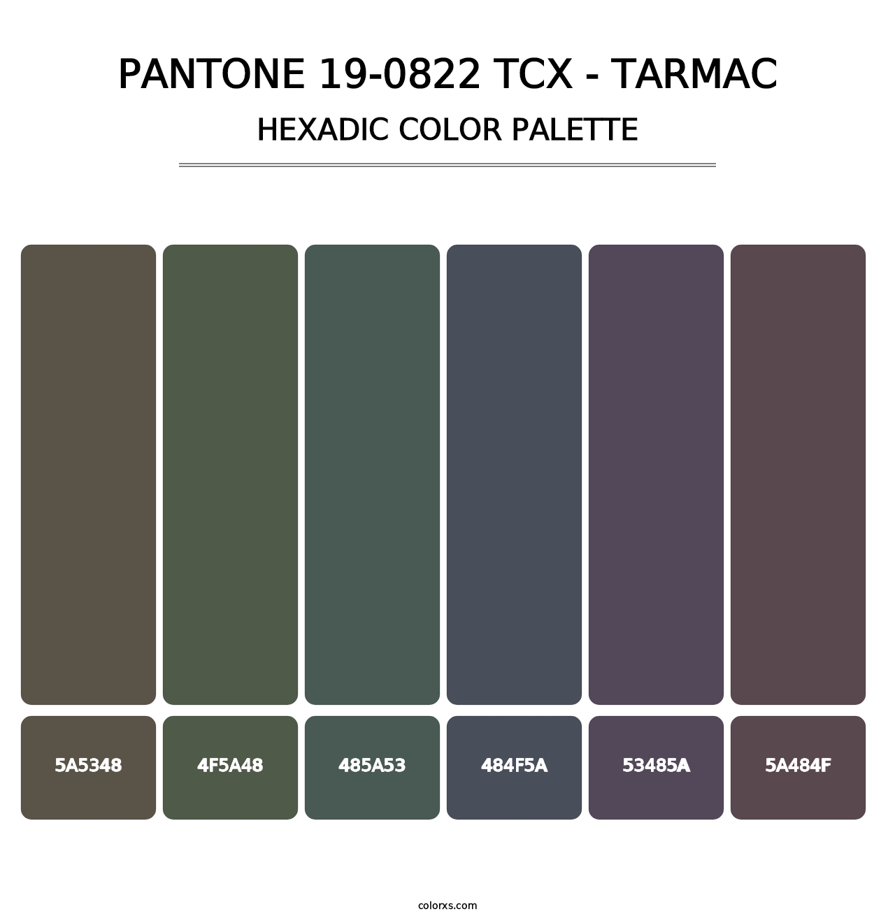 PANTONE 19-0822 TCX - Tarmac - Hexadic Color Palette