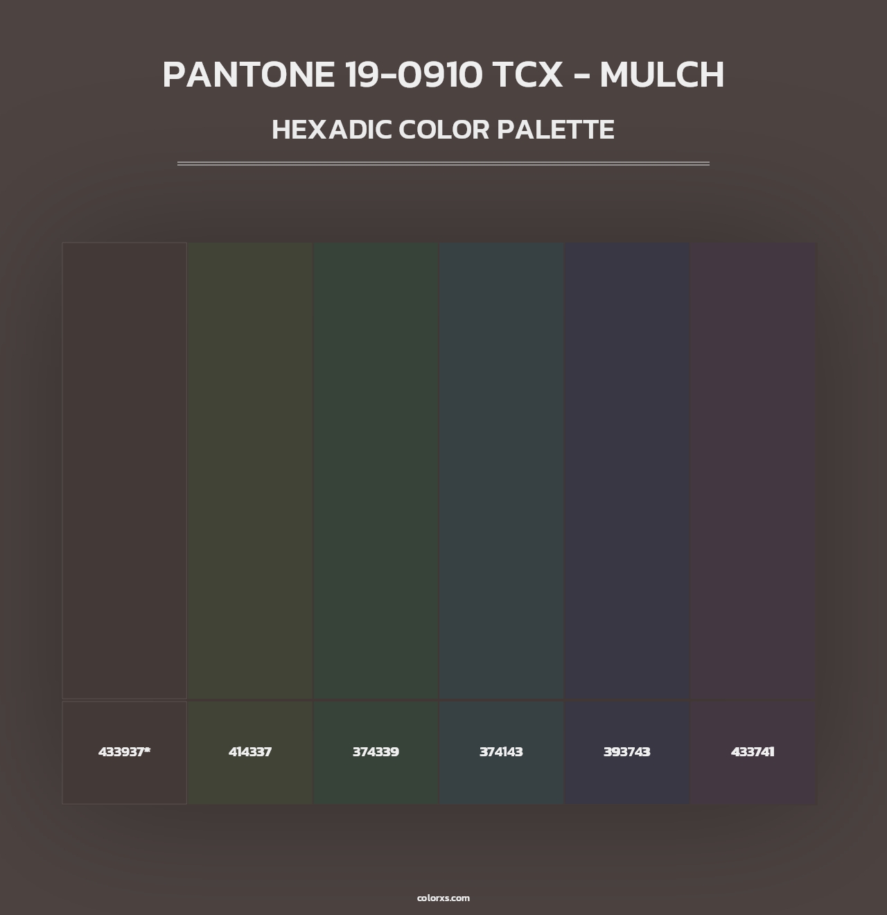 PANTONE 19-0910 TCX - Mulch - Hexadic Color Palette