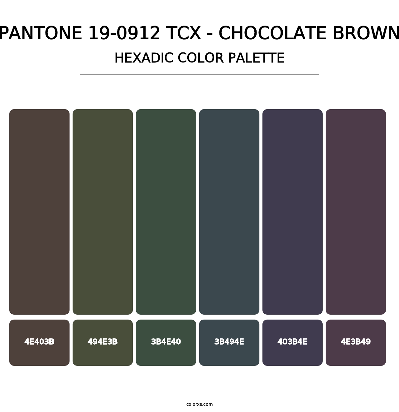 PANTONE 19-0912 TCX - Chocolate Brown - Hexadic Color Palette