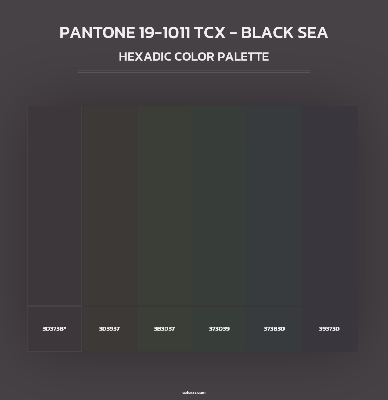 PANTONE 19-1011 TCX - Black Sea - Hexadic Color Palette