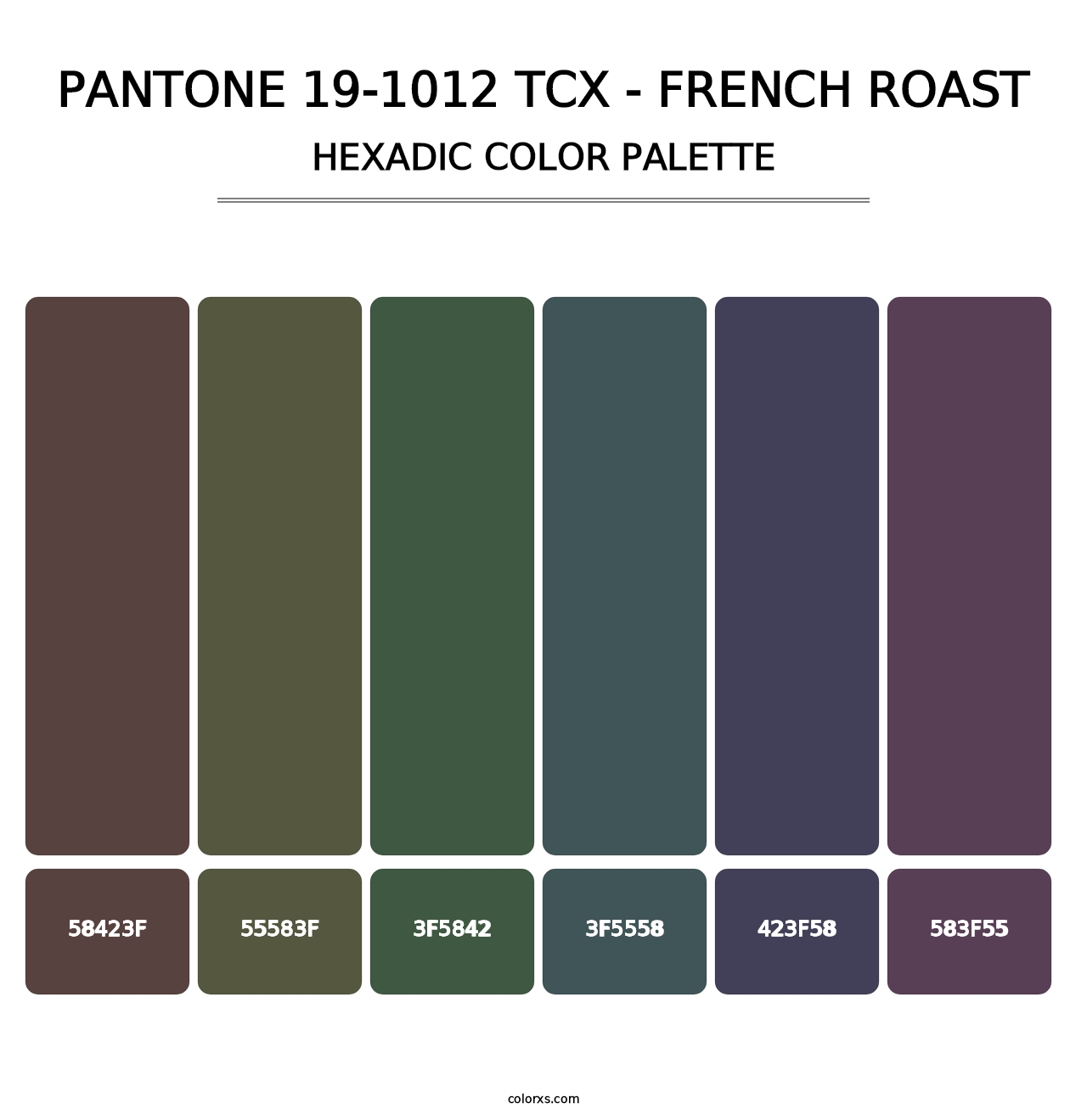 PANTONE 19-1012 TCX - French Roast - Hexadic Color Palette